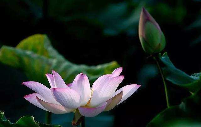 佛教：晚上能不能诵经，还有几个佛教禁忌你知道吗？