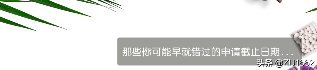 DIY申请德国大学，你也可以，只是需要注意这几点