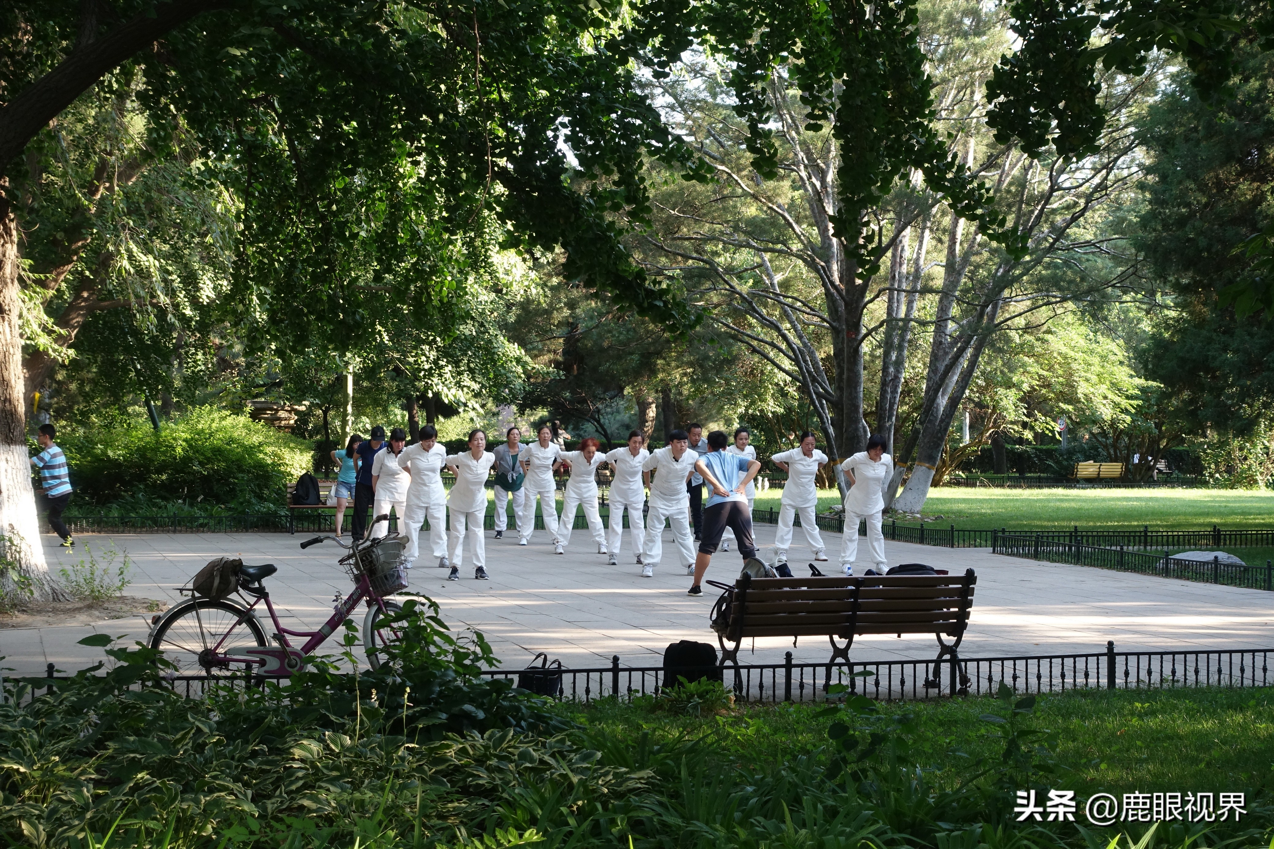 北京大学风光（三）读懂“一塔湖图”，读懂北京大学