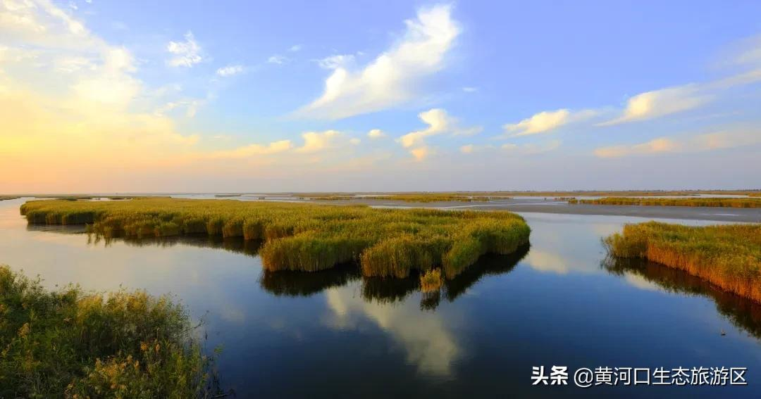 【黄河口生态旅游区】新晋百强 华东第一!