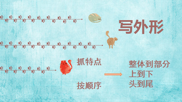 「清清的习作课」习作指导——《可爱的小猫》