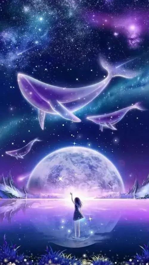 給你想要的星空 夢幻桌布 酸奶小小酥 Mdeditor