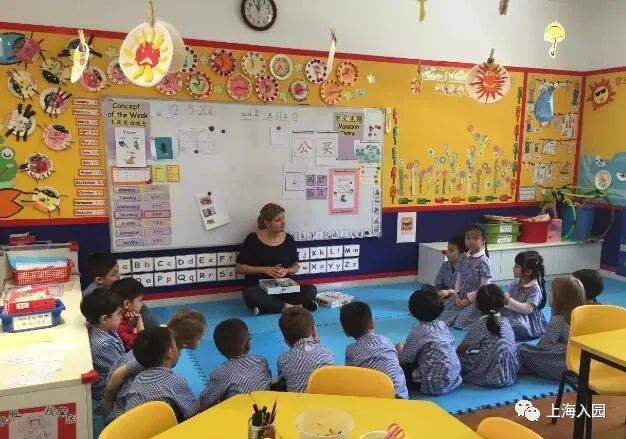 上海这个区近50%的幼儿园全市招生！竟然没有三级园