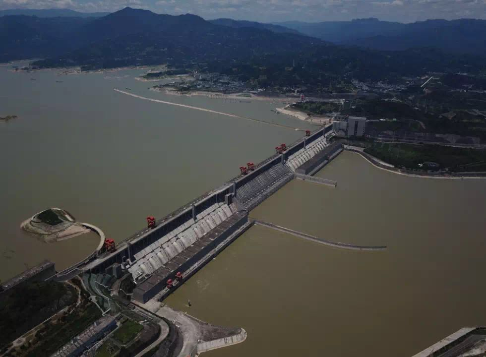 三峡水库蓄水18年，已成鱼儿天堂，水库中的鱼最大有多大？