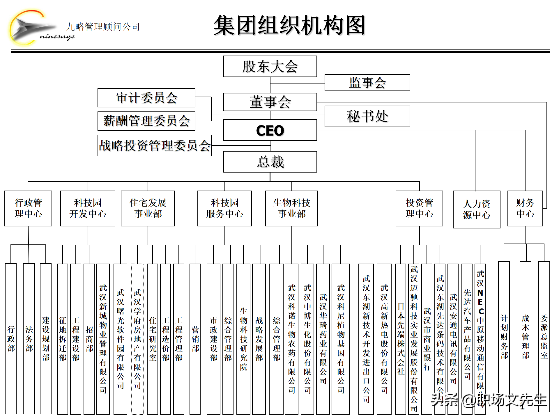 集团组织架构,集团组织架构图