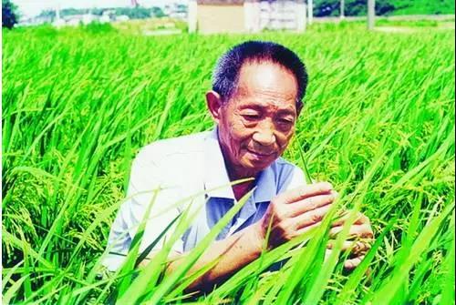 从官立师范学堂到双一流建设高校，西南大学走过了114年！