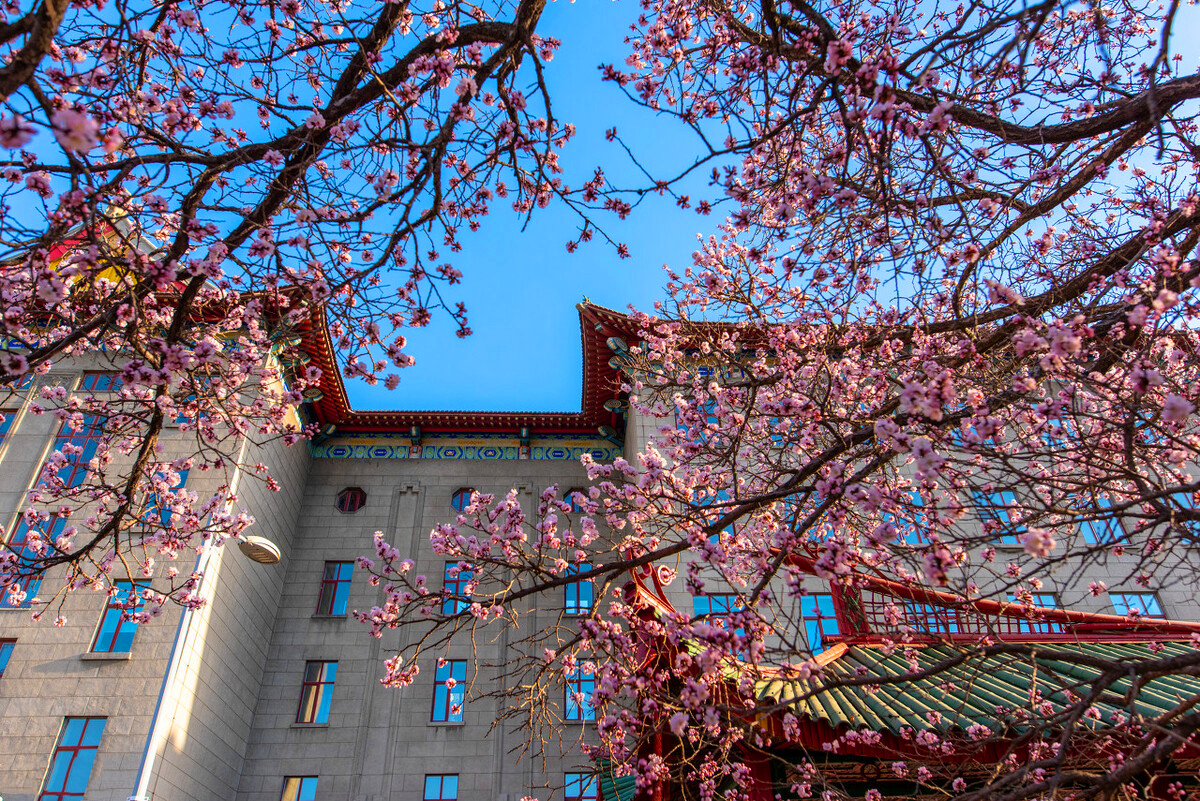 西安工程大学就业网（中国3大工程大学）