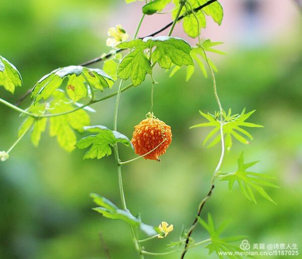 调侃一下又何妨