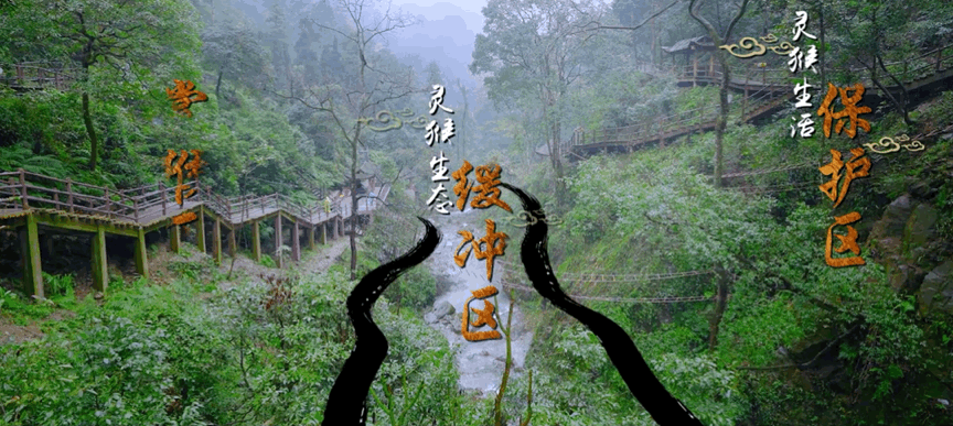 1只猴子＝1个四岁熊孩＋1只二哈，问峨眉山的猴子能当宠物养吗