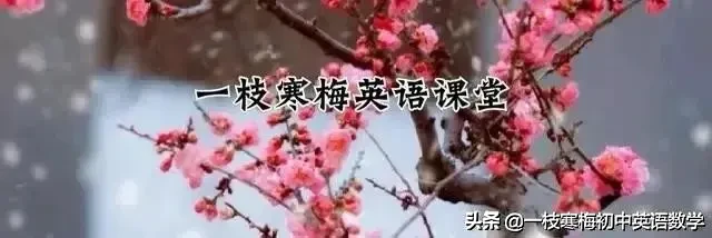 高中英语熟词生义500词：pack的多重含义及用法解析