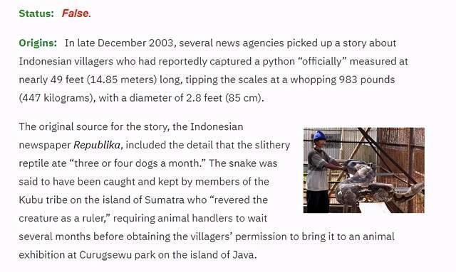 目前世界上最大的蛇,
