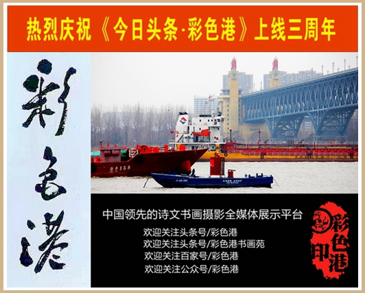 2019西北行｜胡杨：生而千年不死，死而千年不倒，倒而千年不朽