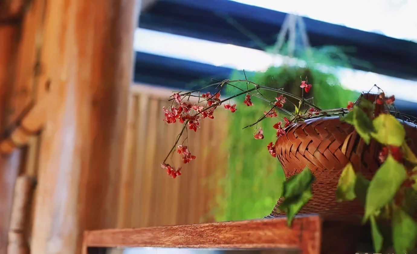 有一种旅行，叫去老街走一走