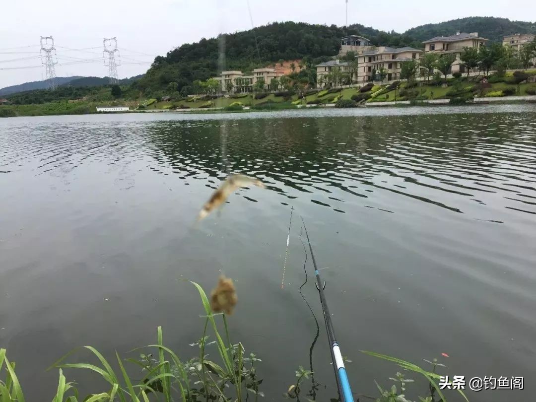 鳜鱼什么季节好钓（牢记两大选位标准与三个核心钓法）