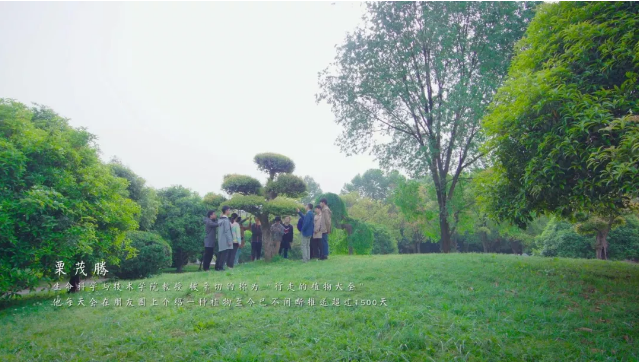 坐拥6站地铁，36个食堂！2019高考志愿填报，来华中科技大学就对了！