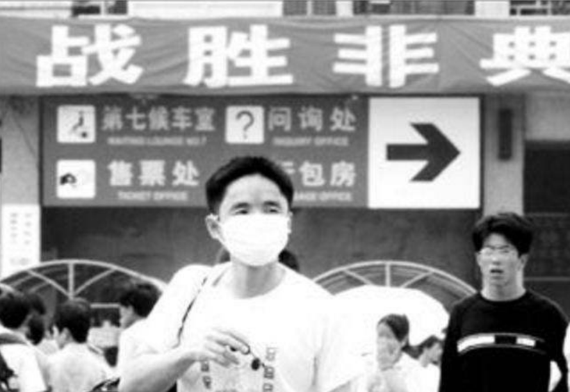 果子貍圖片,果子貍圖片大全大圖