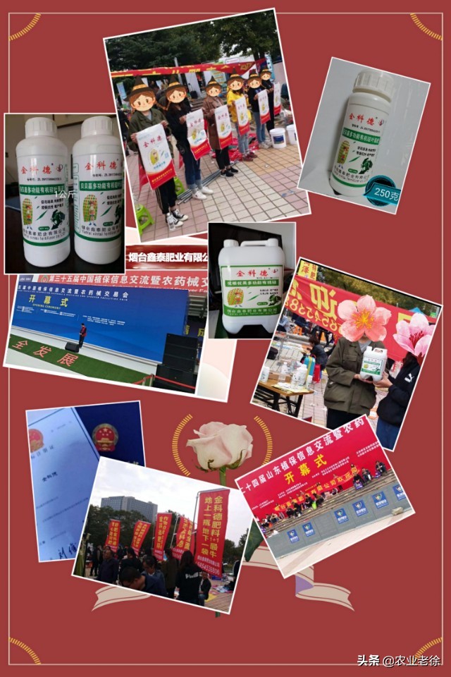 黄豆的生长过程（大豆的生育时期以及管理方法）