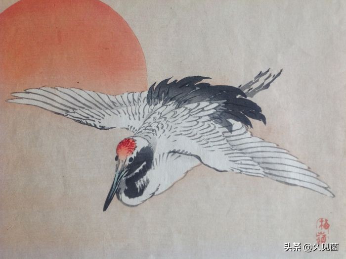 中国国鸟是什么？凤凰原型红腹锦鸡落选，票选第一被称“日本鹤”