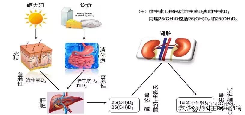 宝宝抽血查维生素D数值非常低，医生说要补维生素D，严重吗？！