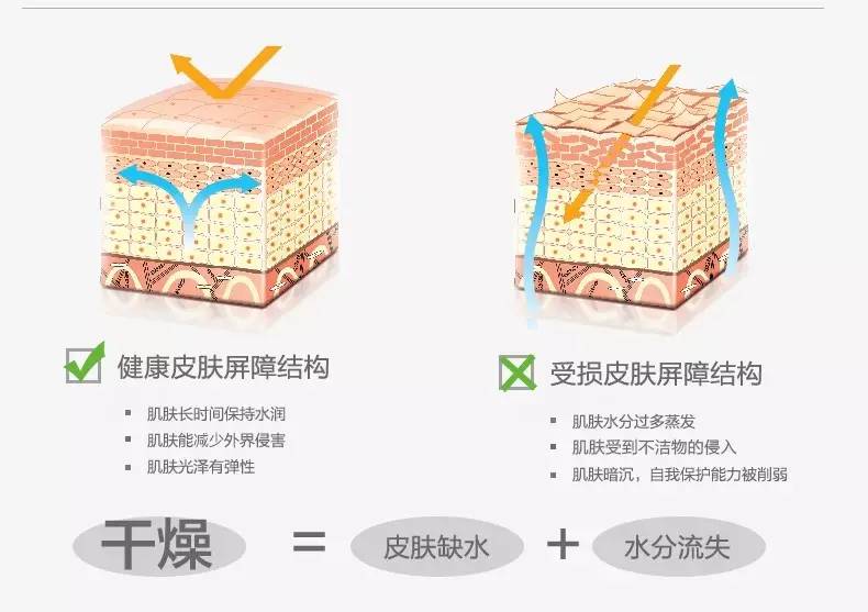 如何恢复受损的皮肤屏障？中医教你3招“恢复大法”