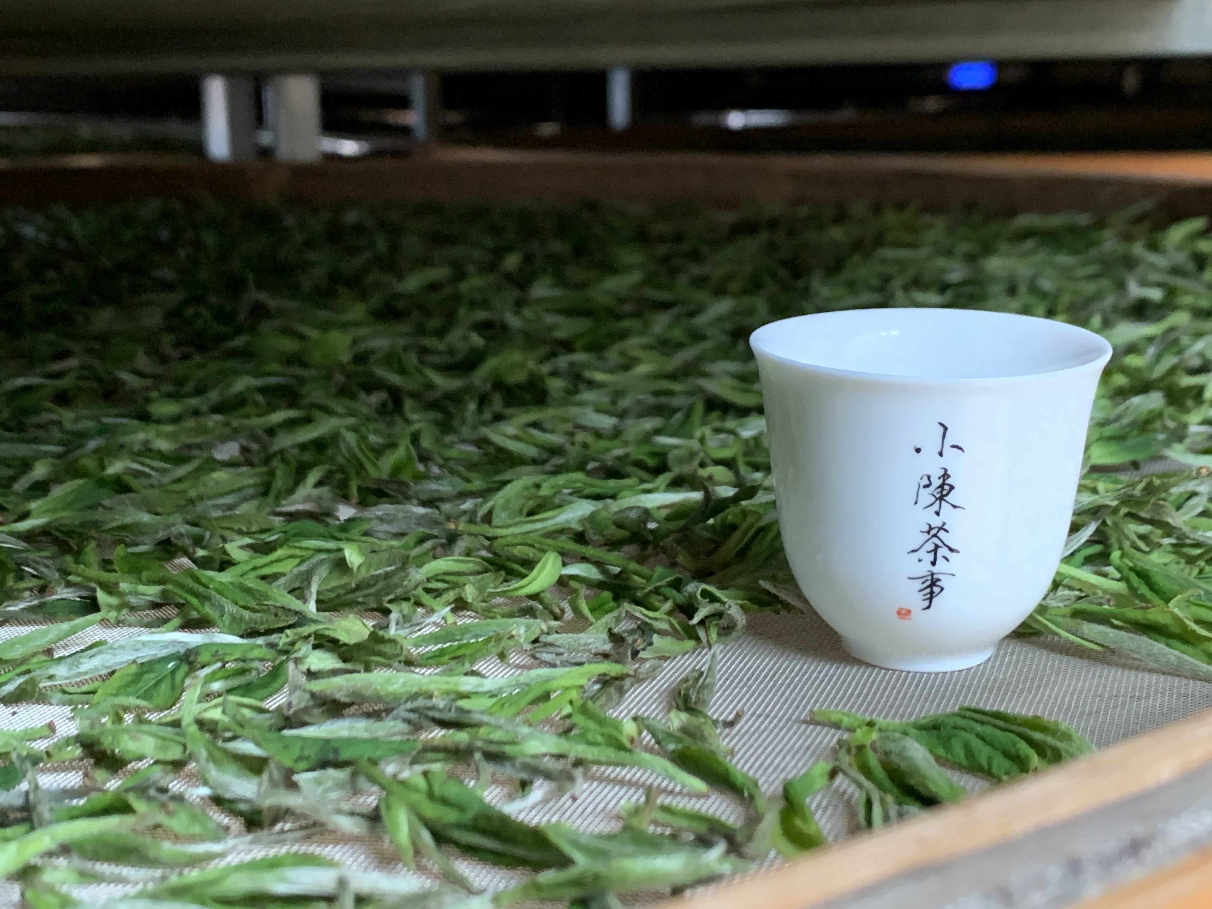 6个原因告诉你，为什么老茶客煮茶滋味甘醇，而你的却苦涩不堪