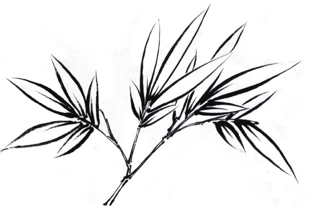 竹子表现技法：怎么样双勾法画竹子，分步骤讲解画法，简单易学！