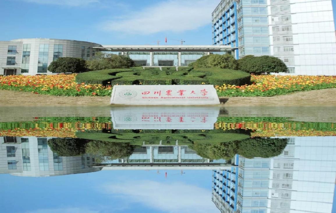 他出生四川农家，双一流博士毕业，发表40余项专利，曾获四川省科技进步奖！