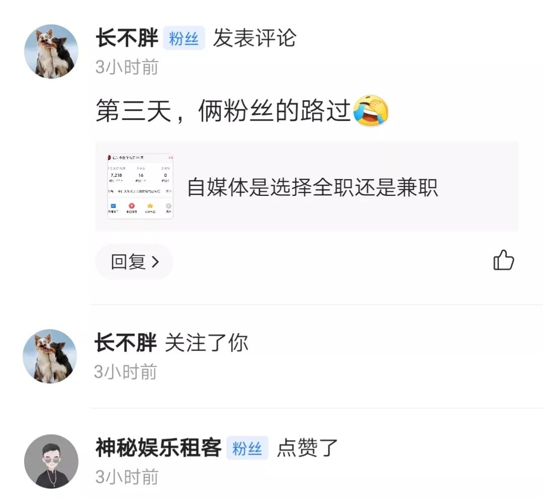 自媒体新手涨粉过程及创作流程