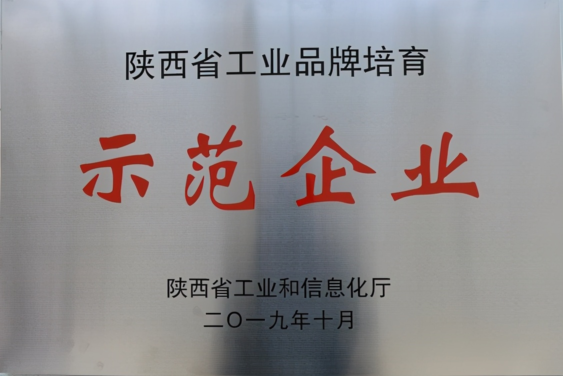 西安研究院荣获第六批“陕西省工业品牌培育示范企业”称号