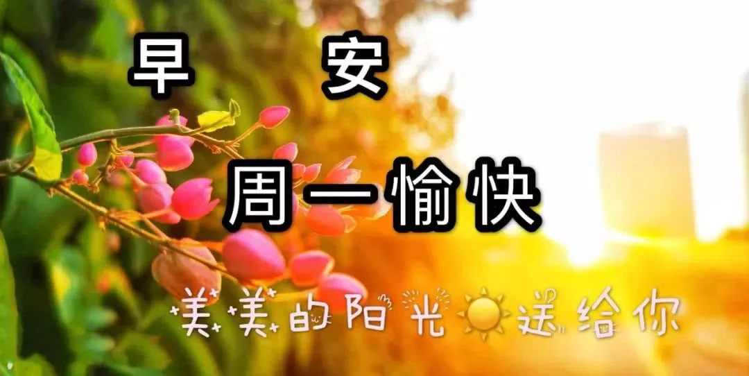 做自己喜欢的样子，愿你生活无挂碍，生活时时花开，早安