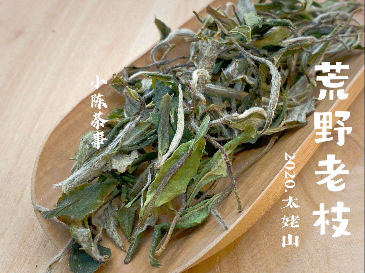 新白茶涩，滋味薄，不满3年不能喝，6个角度教你一次性认清白茶