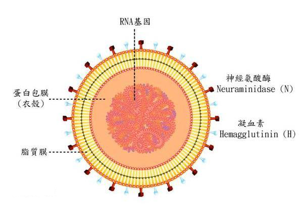 百年来世界十大传染病大流行，最严重的一次死亡人数超过了一战