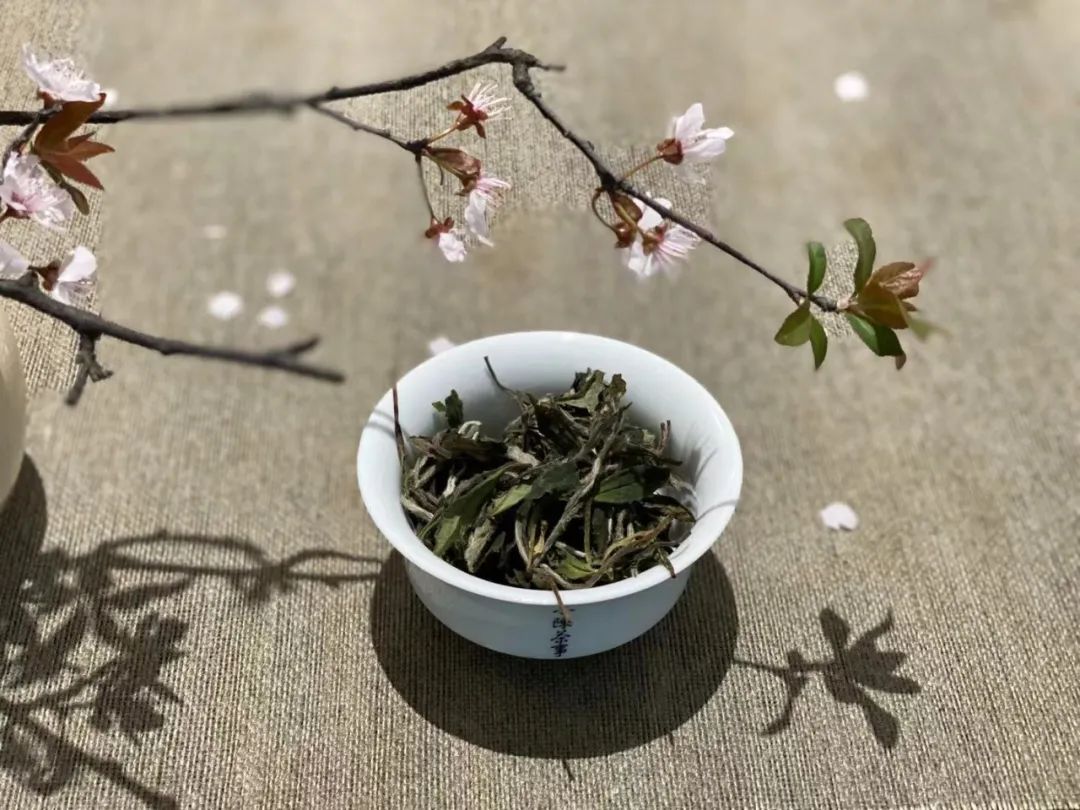为什么说，白瓷盖碗才是最实用的茶具？3点道出精髓