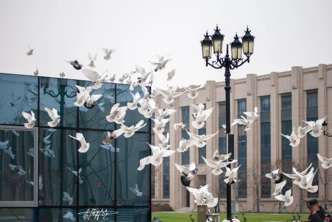 权威发布！刚刚，2021年陕西省高考分数线正式出炉！