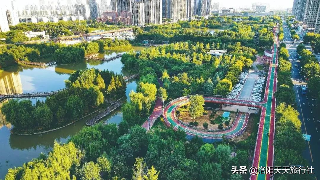 2020年度洛阳十大网红打卡地，出炉了，上榜理由很赞