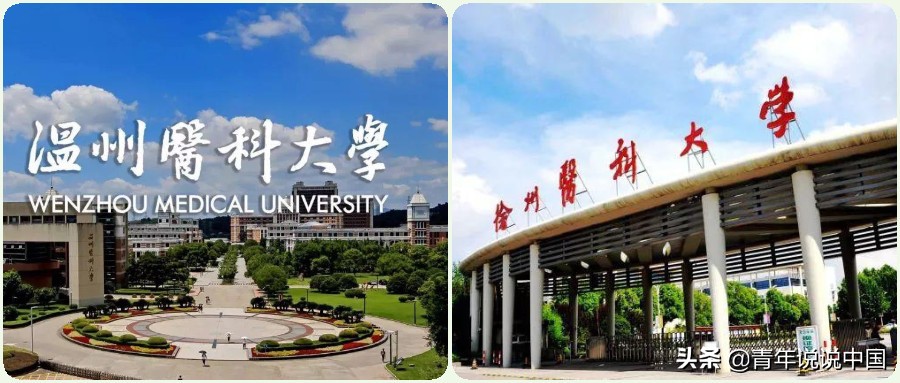 温医与徐医，专业特色明显的地区性医科大学