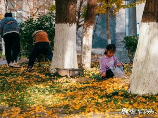 夕阳西下，带你抓住秋天的尾巴