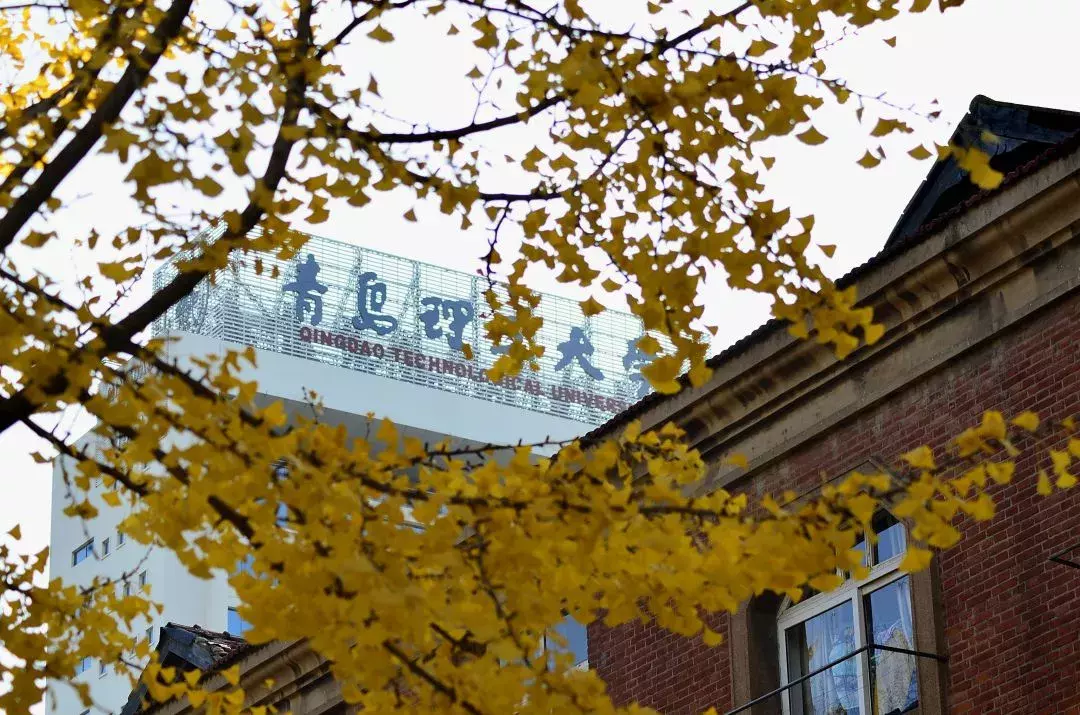 青岛理工大学2019年山东省本科批首次投档分数线出炉啦