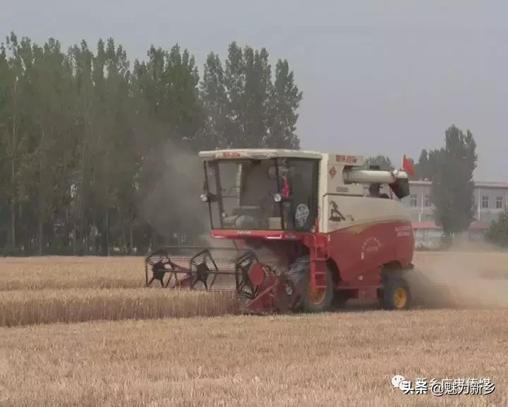 新鄉(xiāng)故事:新鄉(xiāng)縣“三夏”小麥機收喜開第一鐮