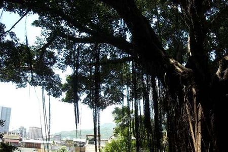 哪些四川本科大学招专科生？有成都师范、西华大学、西南科大等