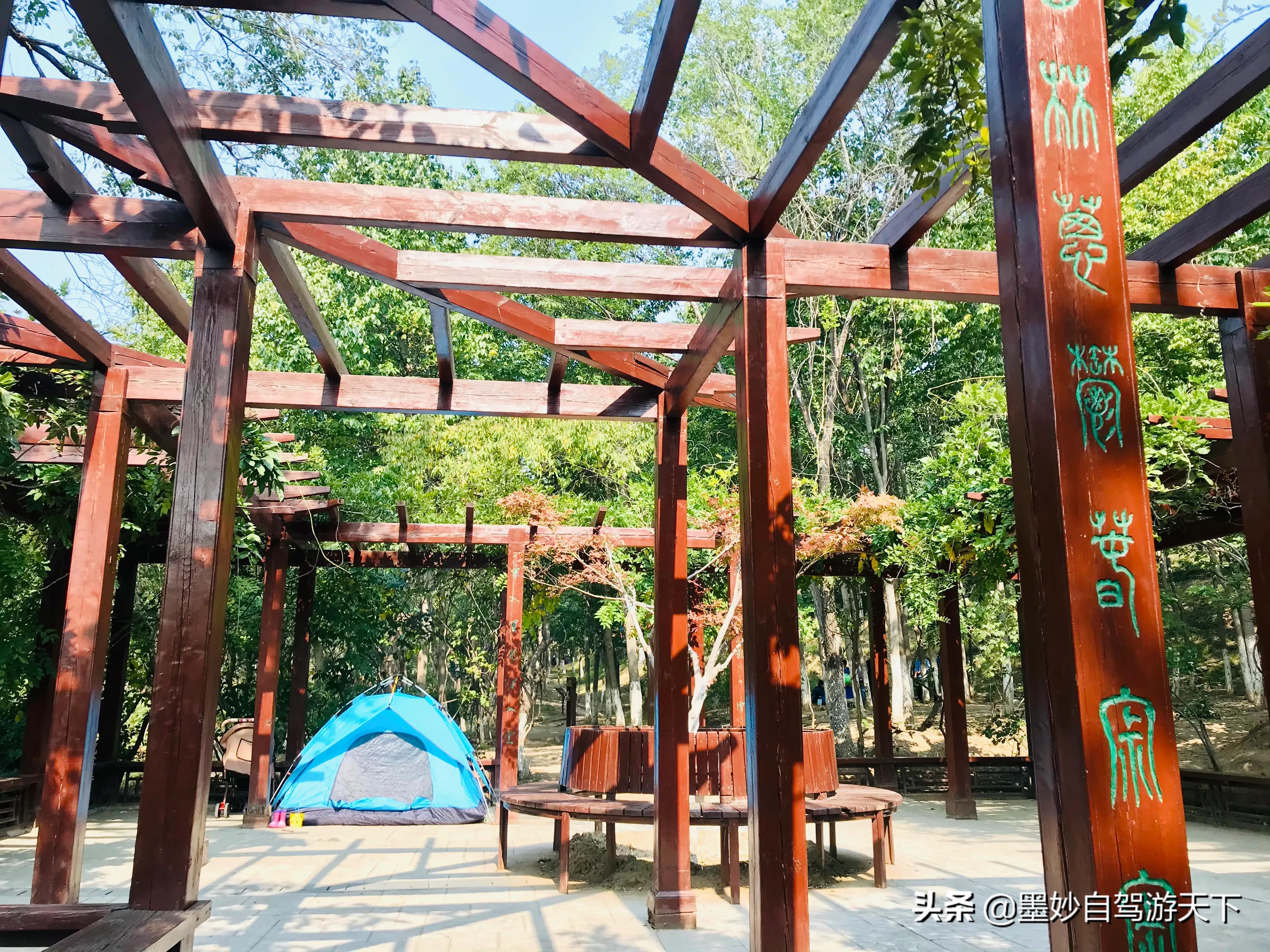 不出京城到江南｜北京市内交通便利的森林公园，端午洗肺好去处