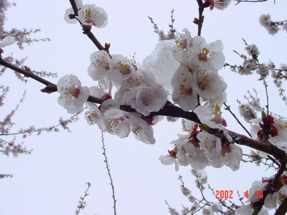 吉林大学的实力怎么样？值得报考吗？