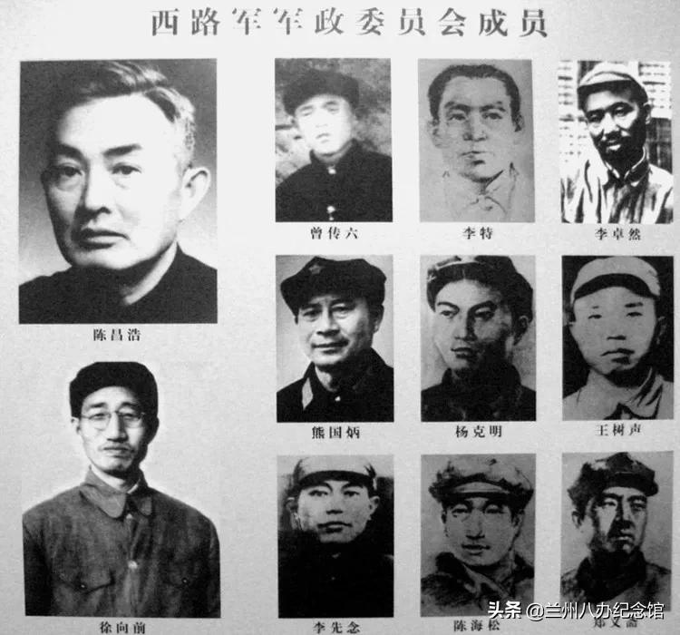 在线观展 