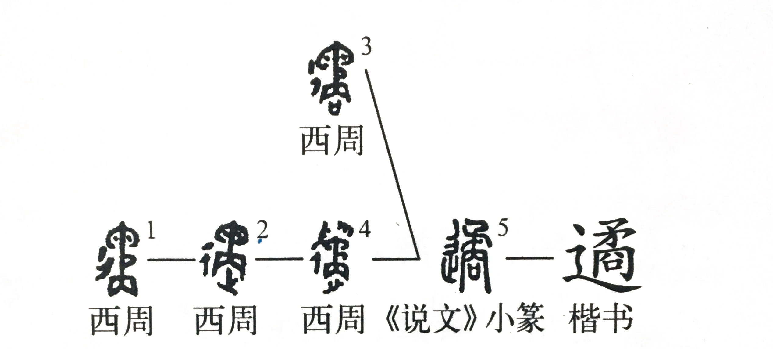 《说文解字》第260课：细说“避”字（附辵部的四个形声字）