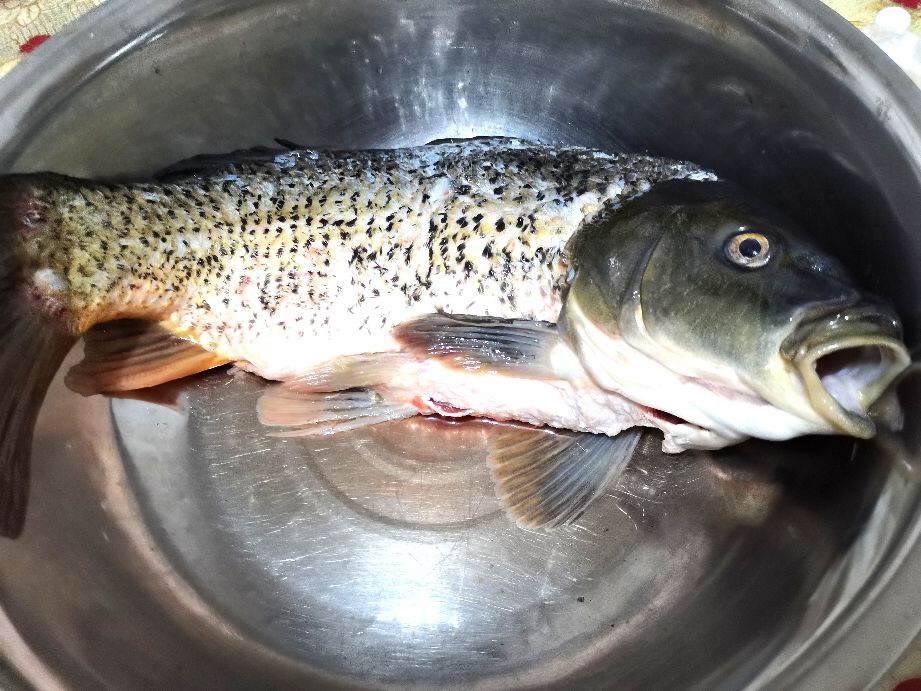 清燉鯉魚(yú)的做法,清燉鯉魚(yú)的做法和步驟視頻