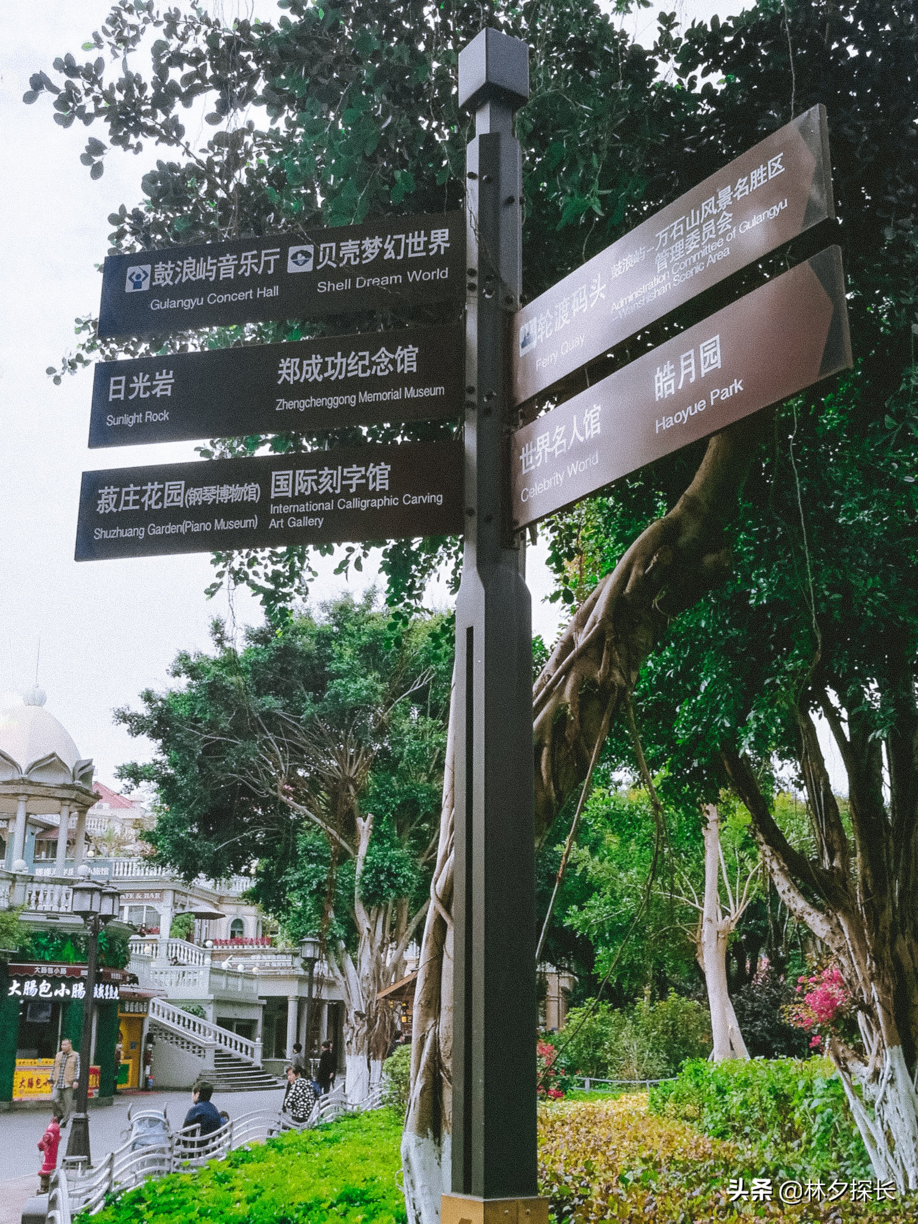 被吐槽为“全国最让人失望的景点”，厦门鼓浪屿真有那么坑么？