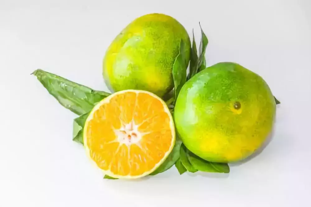 如何分辨柑、橘、桔？