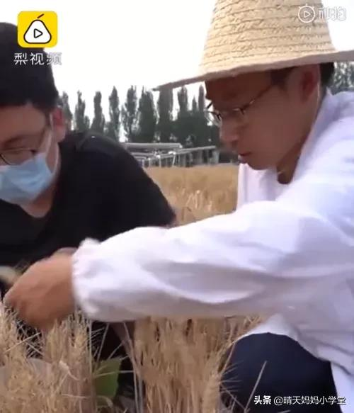 网红收入过亿，北大学霸卖猪肉，读书真的不值钱吗？