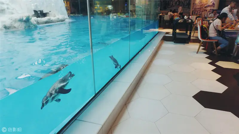 长隆欢乐世界旅游攻略景点必去（三天三夜欢乐长隆之旅）