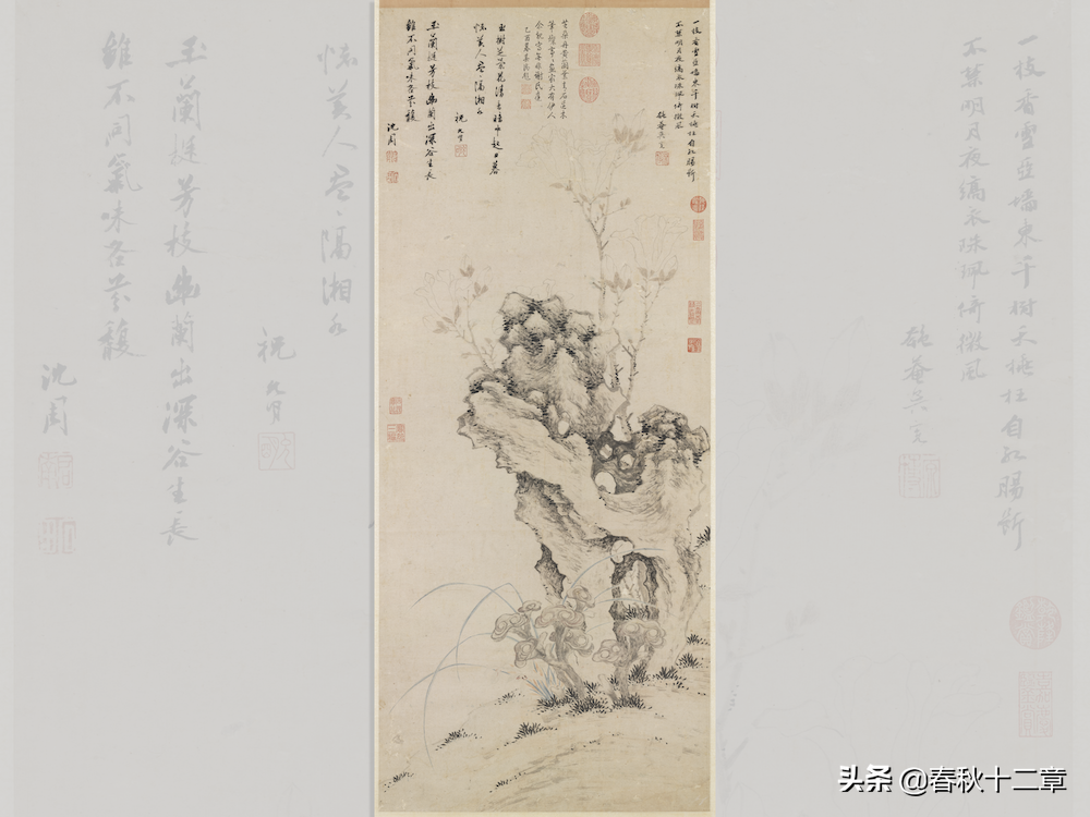 香品｜香料漫谈之兰为何物